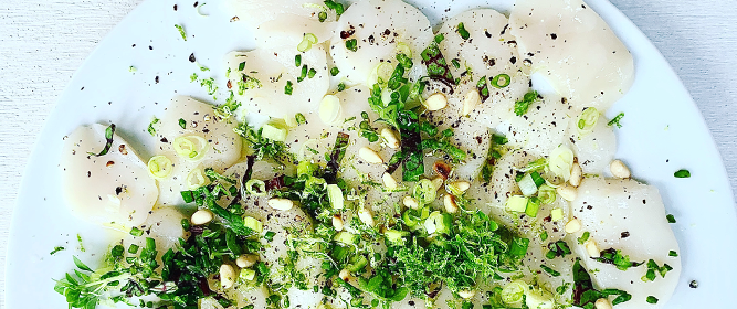 Ceviche de pétoncles