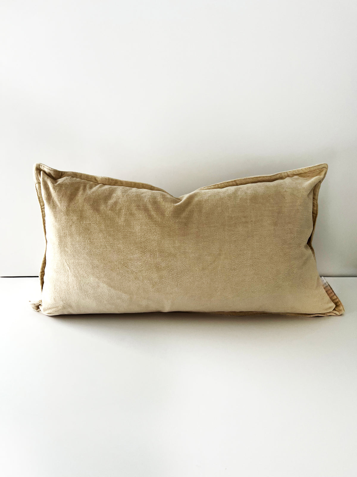 Coussin _ Tan velours