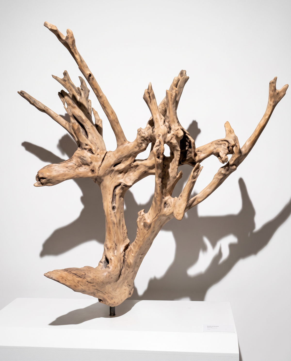 Art _ Johanne Guibeau _ The Breath of the Root