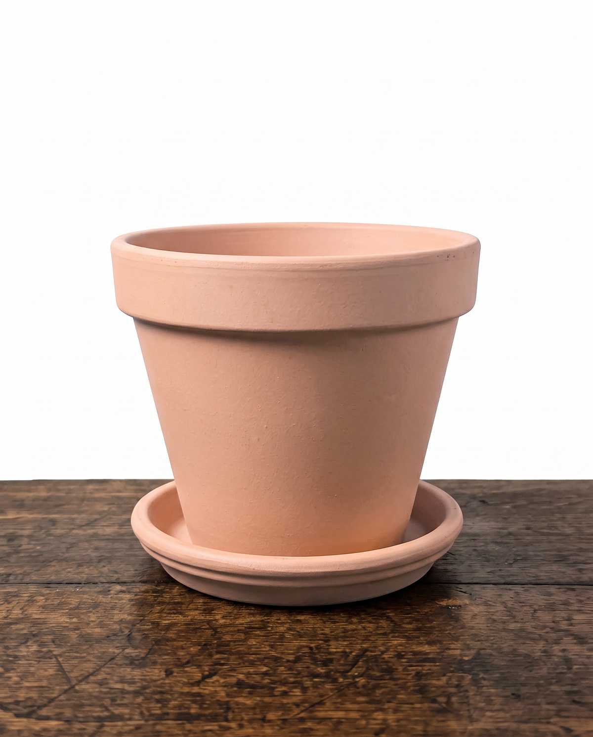 Accessories _ Terracotta planter _ Medium