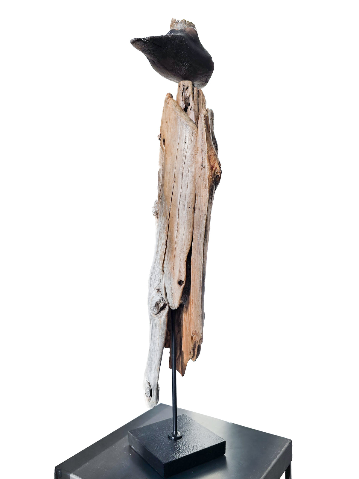 Art _ Lucie Champoux - Materiam Transcendere