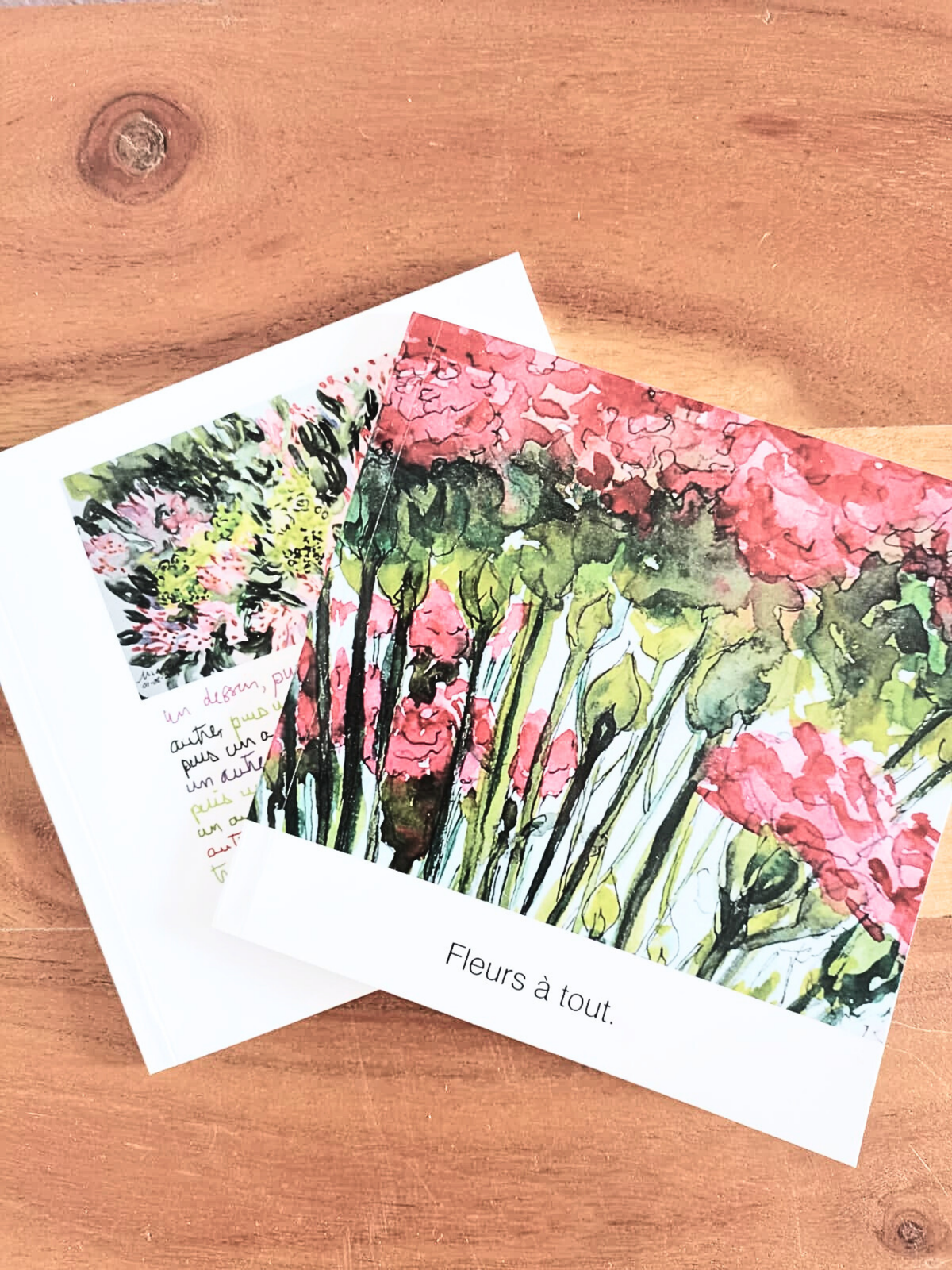 Art _ Lucie Marceau _ Petits livres _ Rose