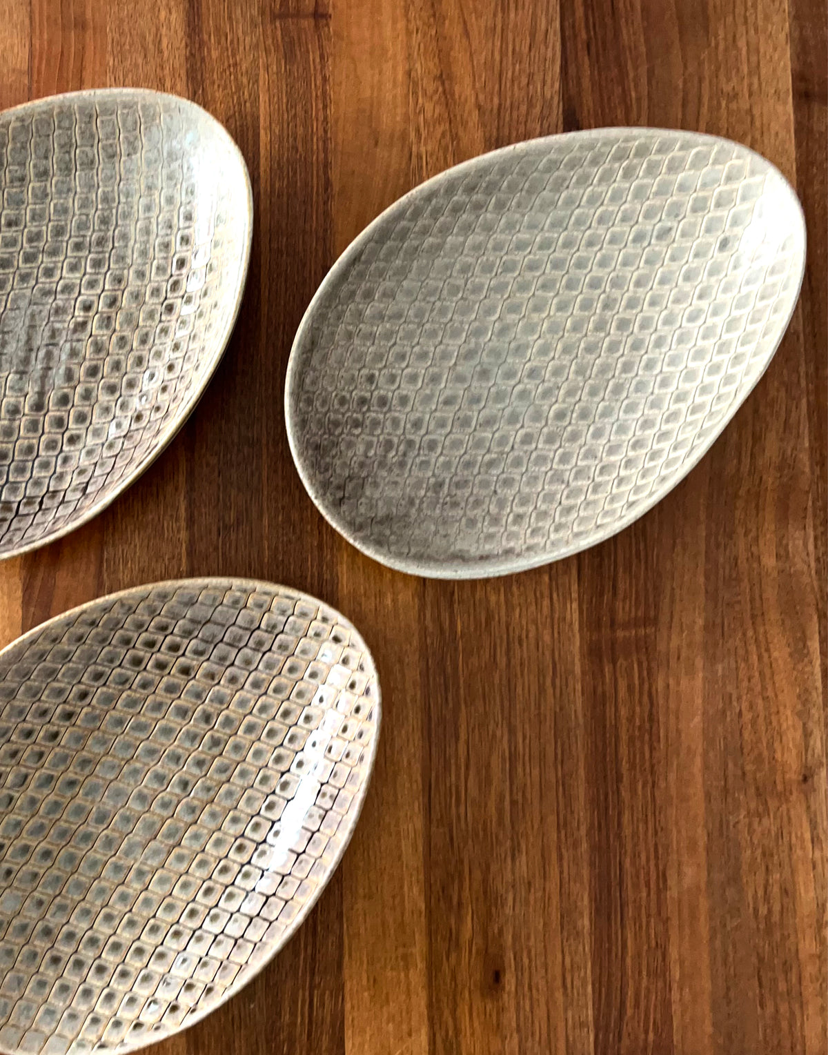 Art _ Rachel Grenon _ Oval cactus