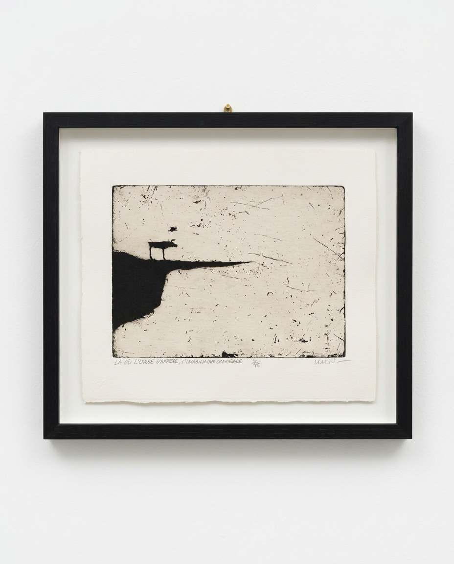 Art _ Luc Nadeau _ Là où l'encre s'arrête, l'imaginaire commence