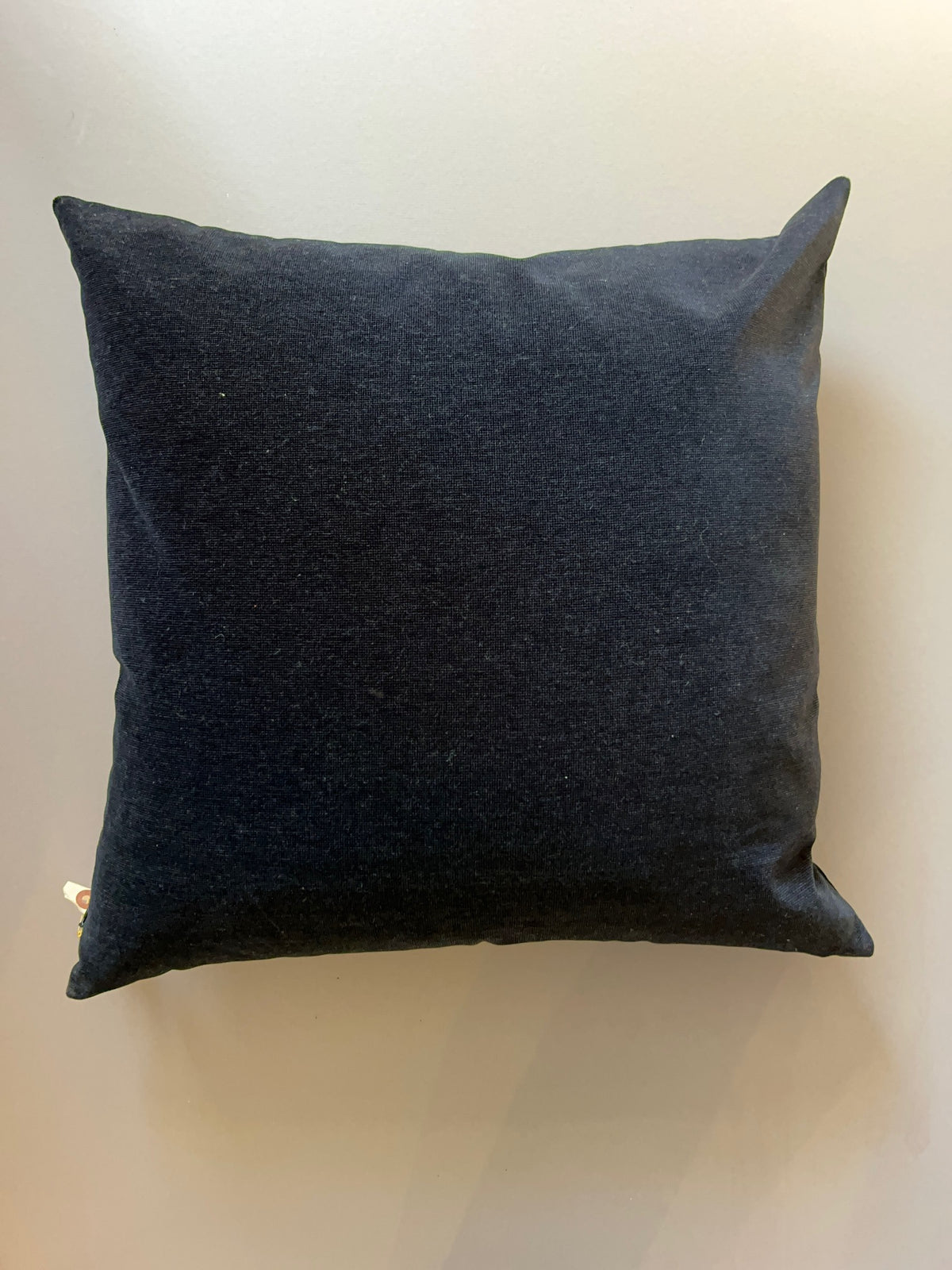 Coussin boutique _ Beau velours côtelé noir