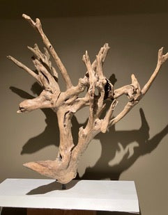 Art _ Johanne Guibeau _ The Breath of the Root