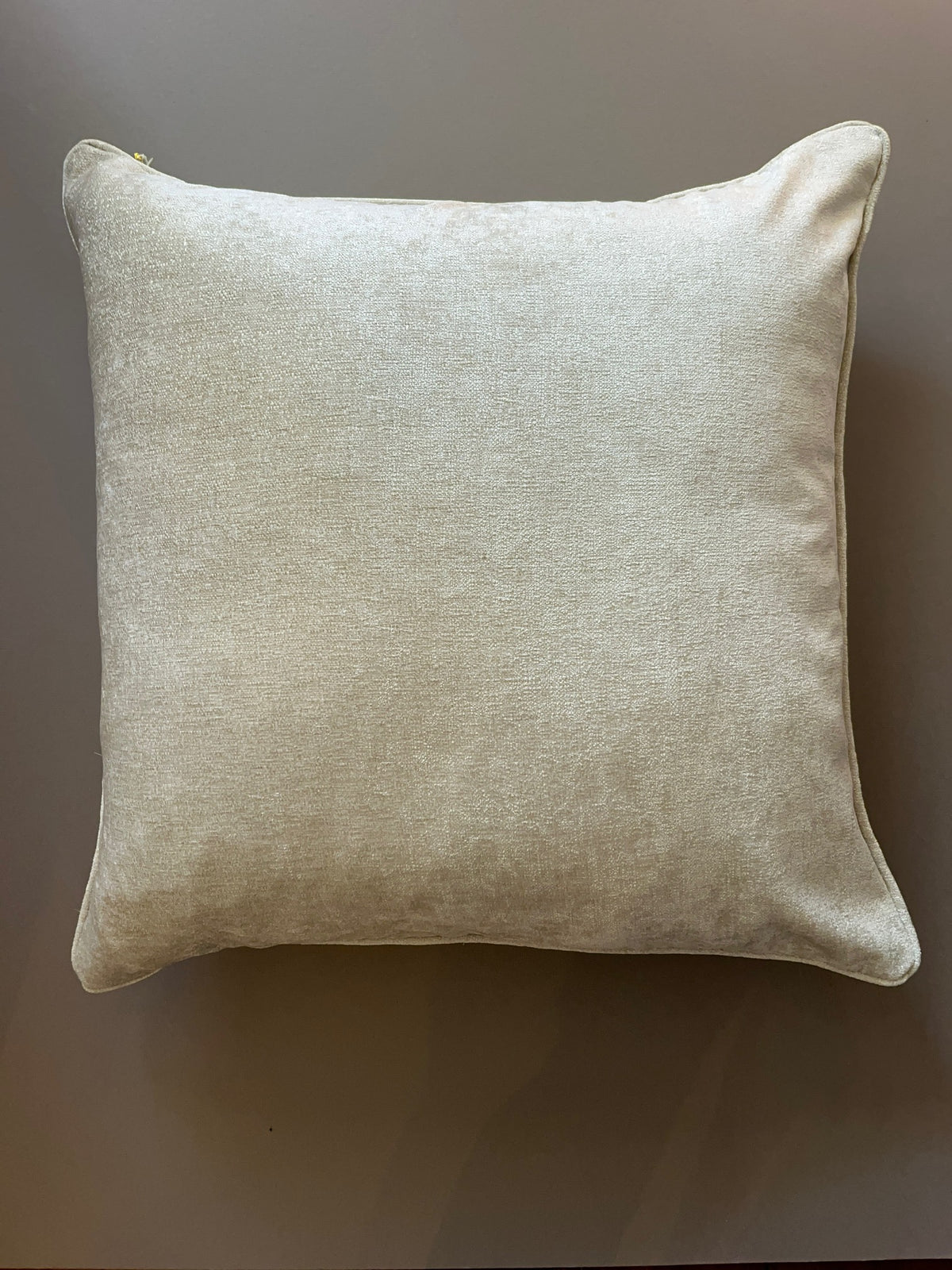 Coussin _ Beau velours crème glacé