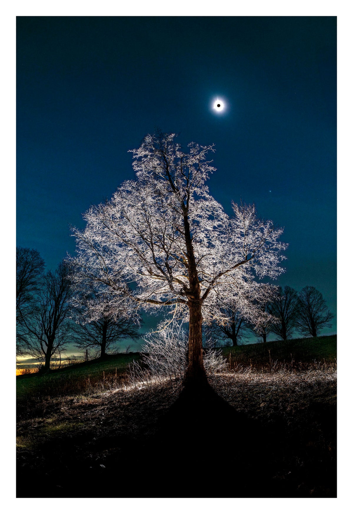 Art _ Ladislas Kadyszweski _ Pigeon Hill _ Framed